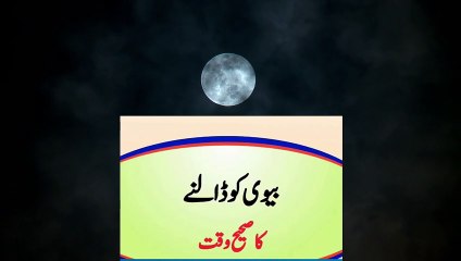 Husband Wife ko kis time kary #shorts #ytshorts #urduquotes #quotes #viral