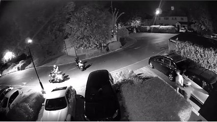 Attempted robbery with a machete