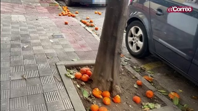 La barriada de Elcano de Sevilla, inundada de naranjas