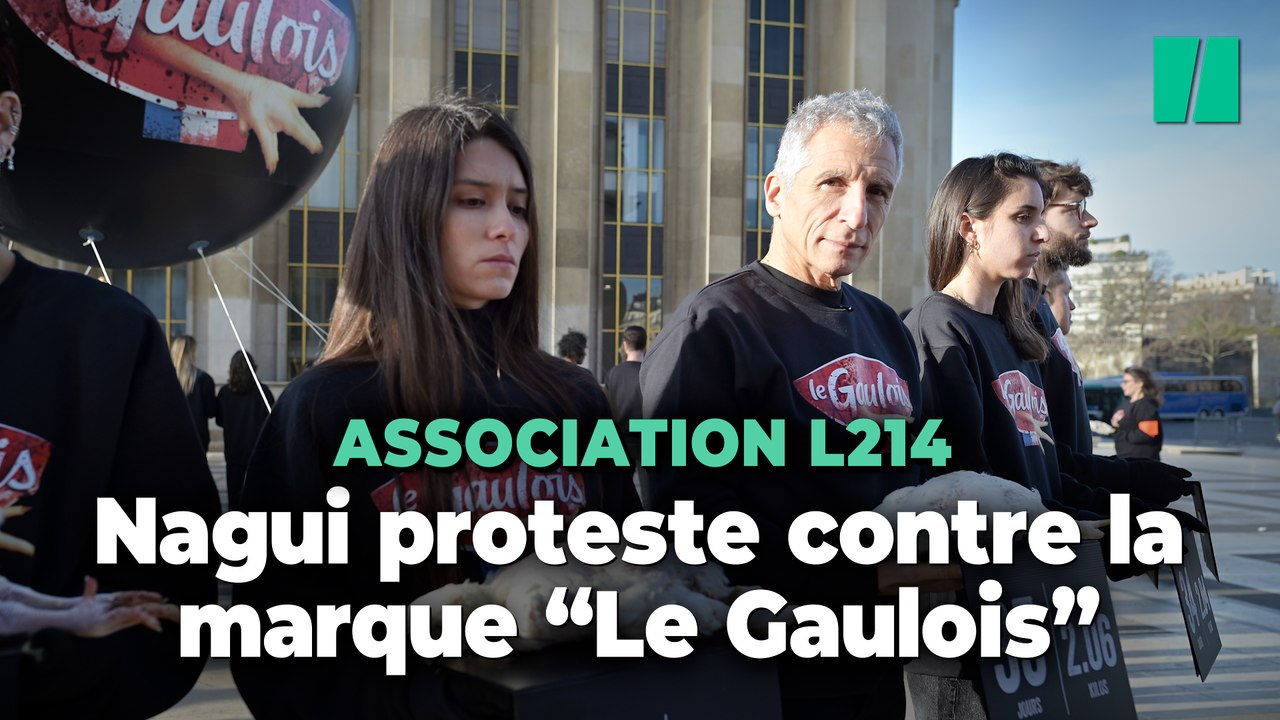 Nagui dénonce l'élevage de poulet intensif aux côtés de l'association L214