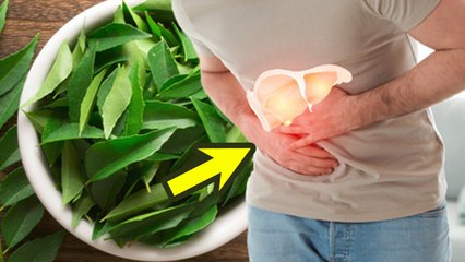करी पत्ता से फैटी लिवर का आयुर्वेदिक उपचार | Fatty Liver Ka Ayurvedic Ilaj | Boldsky