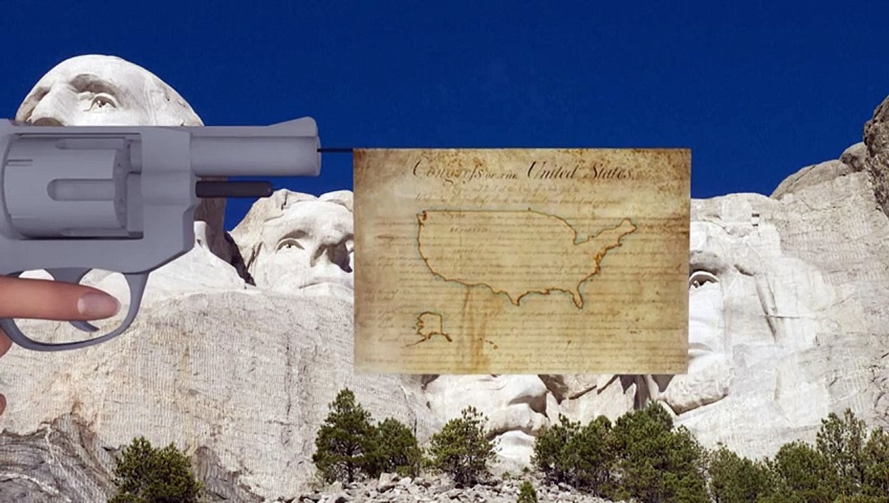 Videografik: Schusswaffen in den USA