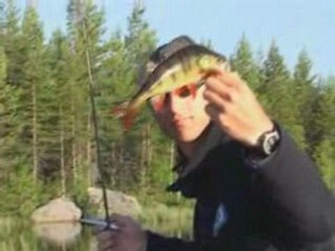 Traque des brochets aux leurres de surface - Tome II