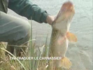 Traquer le carnassier-peche