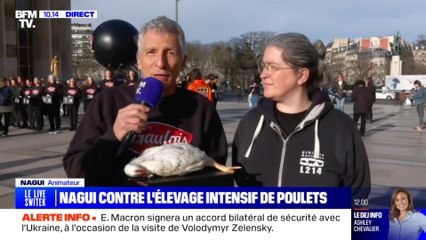 Nagui manifeste pour dénoncer les dérives de certains élevages français : "Les poulets ne peuvent plus marcher"