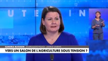 Salon de l'agriculture : un rendez-vous sous tension ?