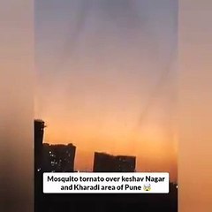 tornados de mosquitos