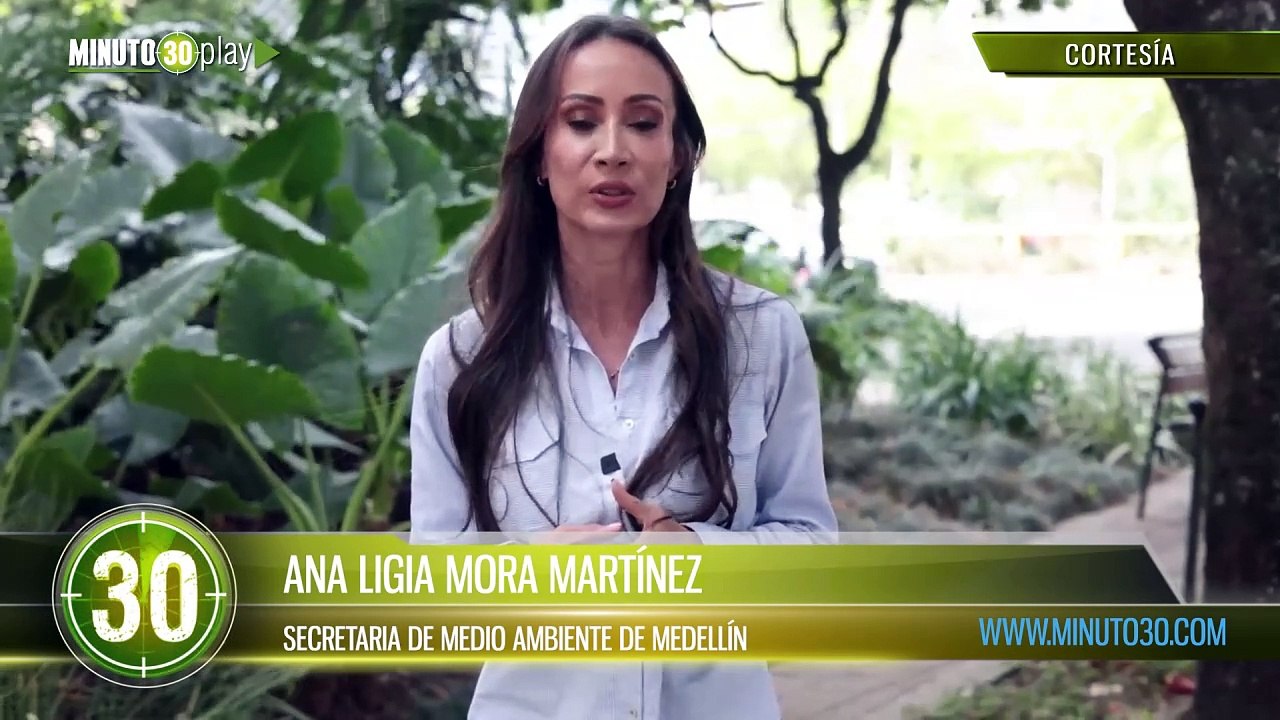 Alcaldía de Medellín entrega recomendaciones para proteger los cerros tutelares durante el fenómeno de El Niño