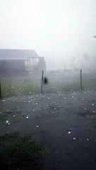 Hail Storm Pounds Argentina