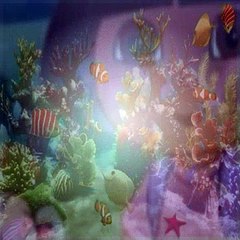 Dora The Explorer S02E05 Lost Squeaky