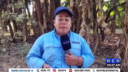 ¡Tremendo! Celoso mata a su pareja en Yusguare, Choluteca