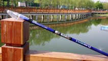 Best Fishing Rods Of 2024! || Top 5 Fishing Rods Review