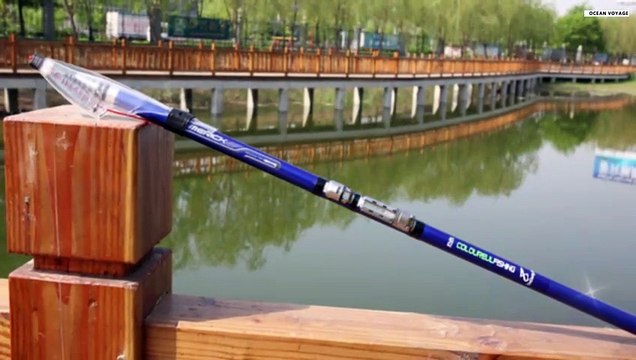 Best Fishing Rods Of 2024! || Top 5 Fishing Rods Review