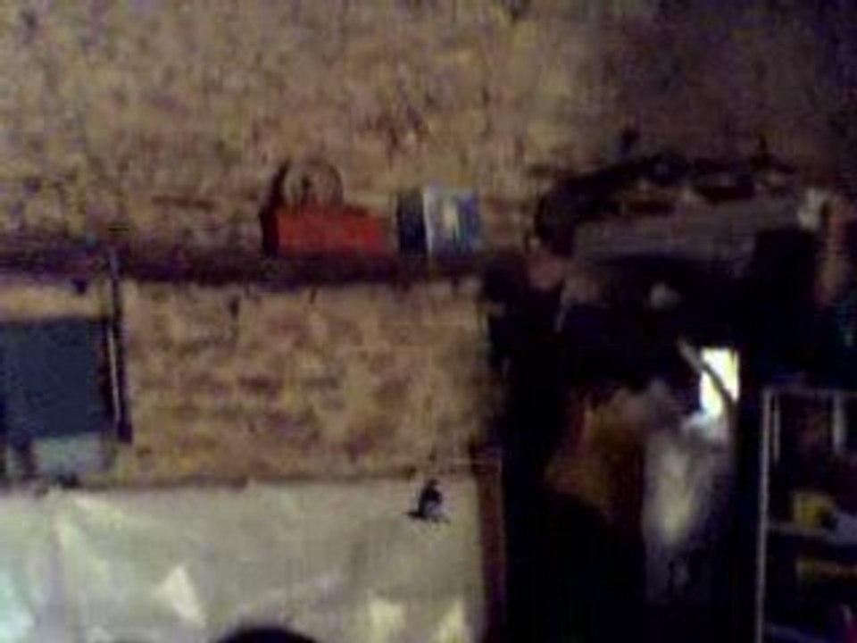 tentative d'aterissage sur une poutre en lama v3