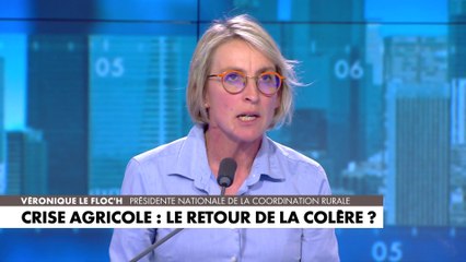 Véronique Le Floc’h : «On ne nous donne plus les moyens d’exercer notre métier»