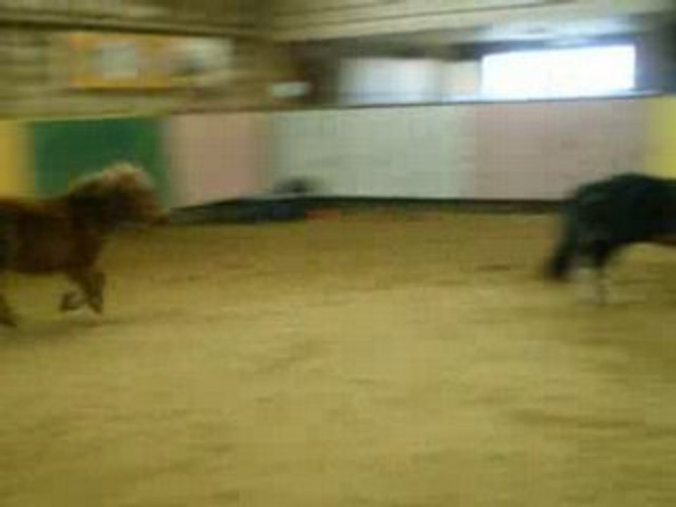 CEM. ABOU & CHAUSSETTE SAUT