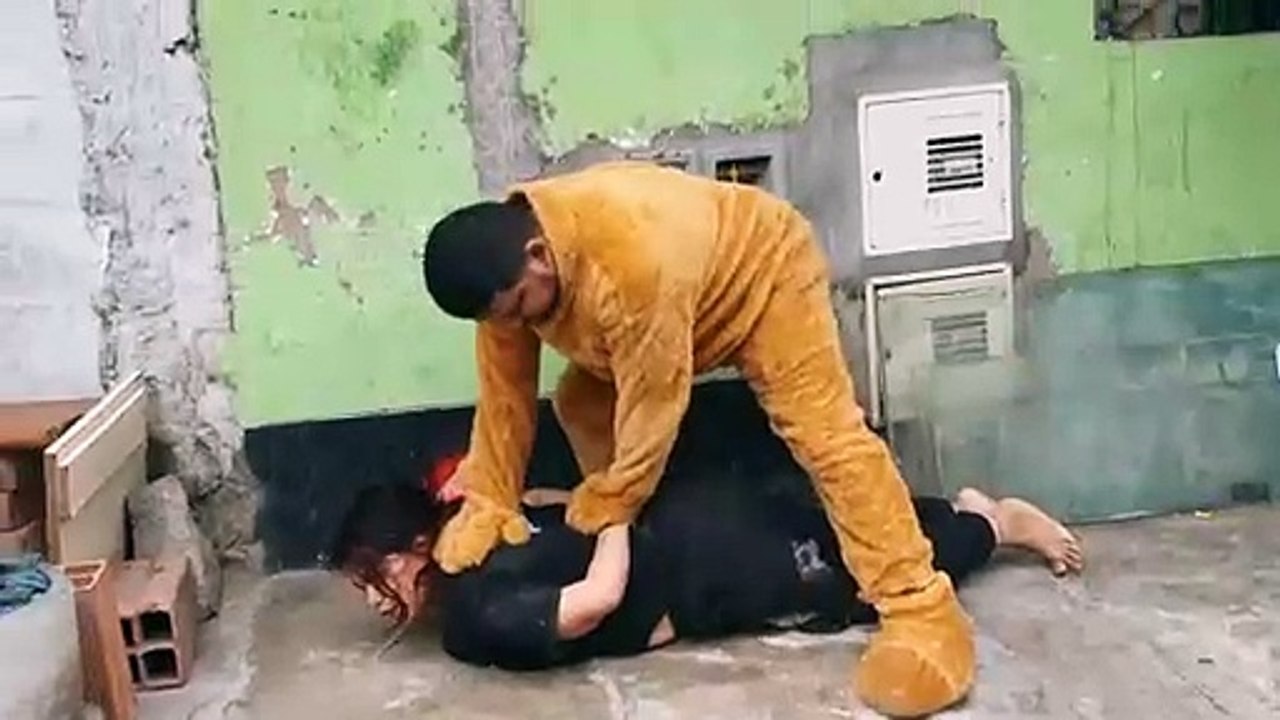 Cocaine-busting bear: Peruvian police catch dealers off guard on Valentine's Day