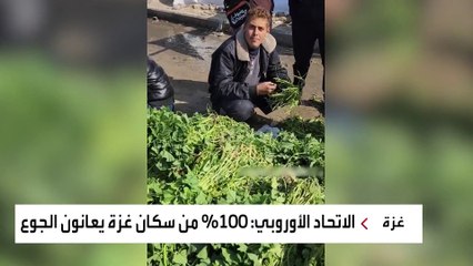 فلسطينيون يلجؤون لنباتات "الخبيزة والسبانخ والسلق" لسد جوعهم