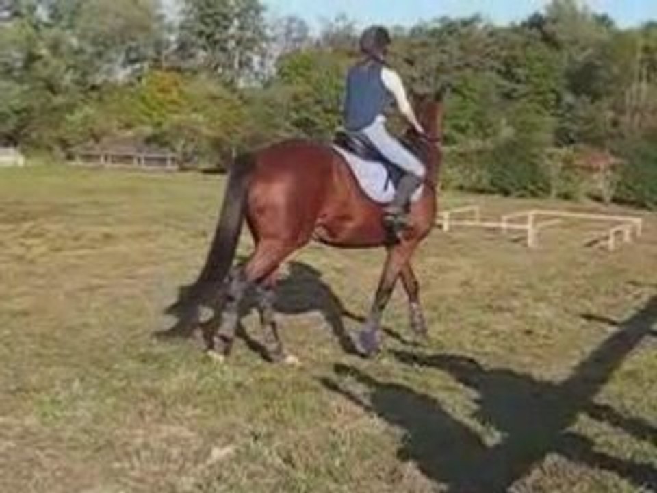 Steph_0001