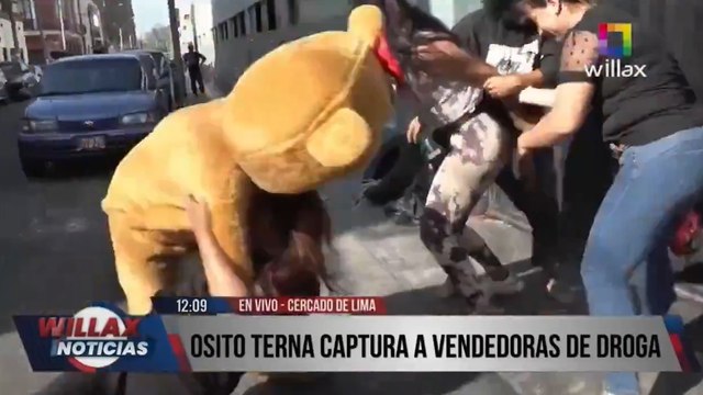 Policial se veste de urso para prender mulheres suspeitas de tráfico
