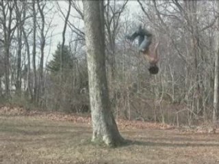 Backflip sur un arbre