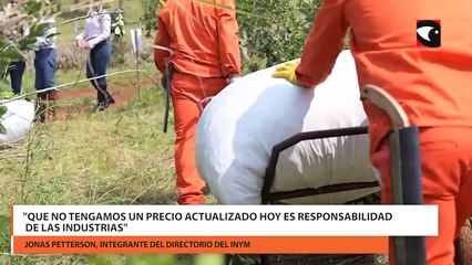 Yerba mate por la ausencia de representantes de las industrias, el INYM reprogramó la sesión de negociación de precios