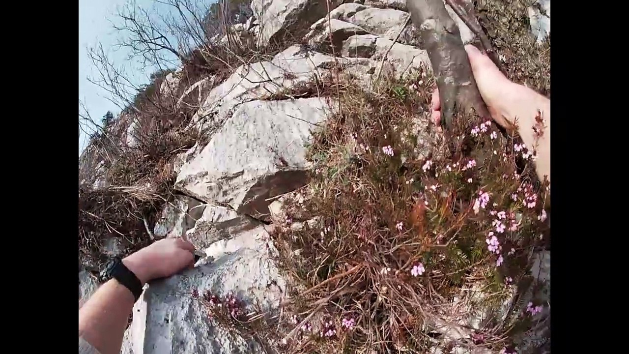 Sind Sie ein starker Schachspieler. Eine taktische Schachstudie von Peter Krug