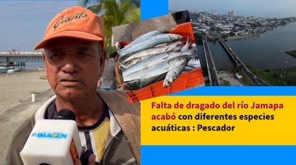 Falta de dragado del río Jamapa acabó con diferentes especies acuáticas : Pescador