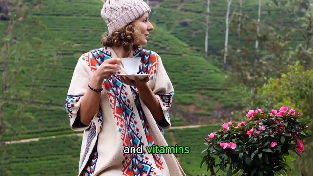 Discover the Wonders of Mint: Benefits of Mint, Mint Tea, and Mint Essential Oil