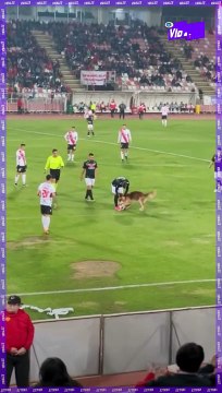 Firulais: “De mejores estadios me han sacado”