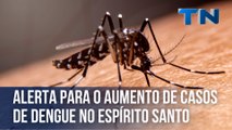 Alerta para o aumento de casos de dengue no Espírito Santo