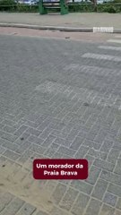 Morador denuncia falta de sinalização na Praia Brava