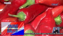 Presyo ng bell pepper mula Nueva Vizcaya, mas mura kaysa bell pepper mula Baguio | UB