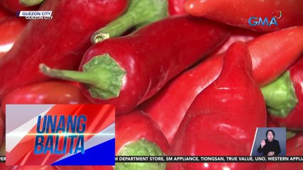 Presyo ng bell pepper mula Nueva Vizcaya, mas mura kaysa bell pepper mula Baguio | UB