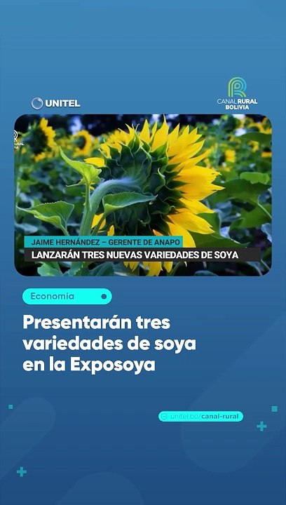 Presentarán tres variedades de soya en la Exposoya