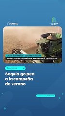 Sequía golpea a la campaña de verano