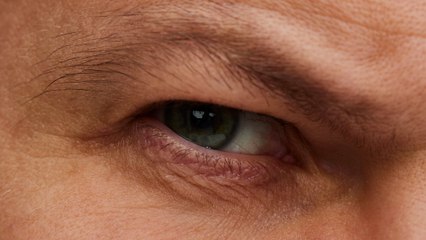 Stress - Trade Hearts (Audio)