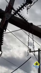 Una madrina derribó un poste de la CFE y cayó encima de un vehículo