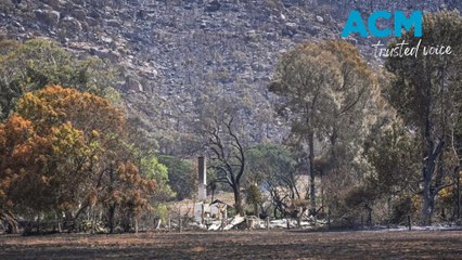 More than 20 homes have been destroyed in bushfires in Victoria's west