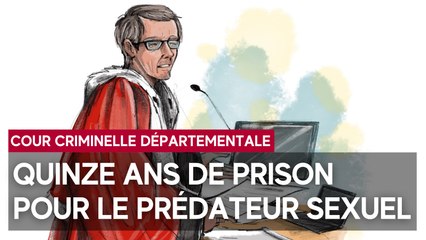 Cour criminelle départementale : quinze ans de prison  pour le prédateur sexuel