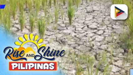 Peak ng El Niño, nararanasan na ngayong Pebrero