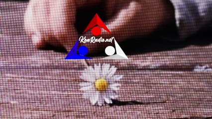 Viva La Musica Con Gustavo Principe