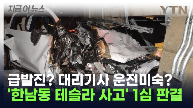 테슬라 차주 사망케한 대리기사에 내린 판결... 시속 95km로 들이받은 충격 [지금이뉴스] / YTN