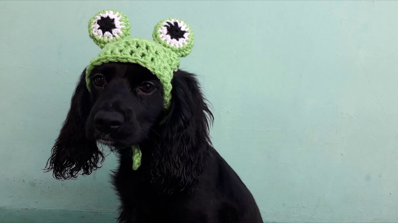 Gorro de Ranita para Perros y Gatos a Crochet