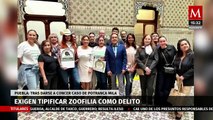 Organizaciones defensoras de animales exigen tipificar la zoofilia como delito en Puebla