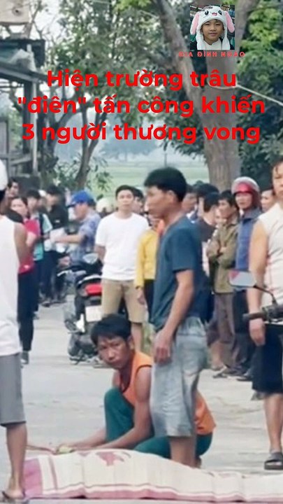 Nổ súng bắn hạ trâu điên húc 3 người thương vong ở Quảng Bình