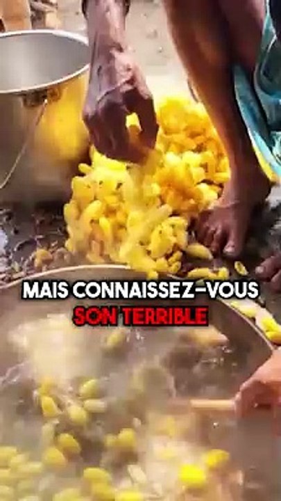 Comment est fabriquée la soie ?