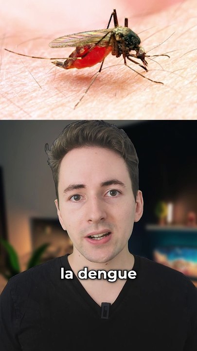 Ça commence à me gratter partout et toi ?