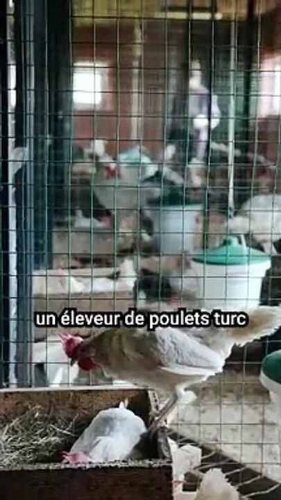 Il a fait une sacrée découverte