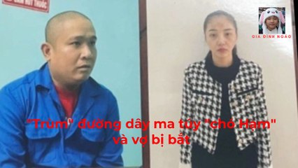 Vợ chồng chó Hạm cùng 4 chân rết  bị bắt vì buôn bán ma tuý